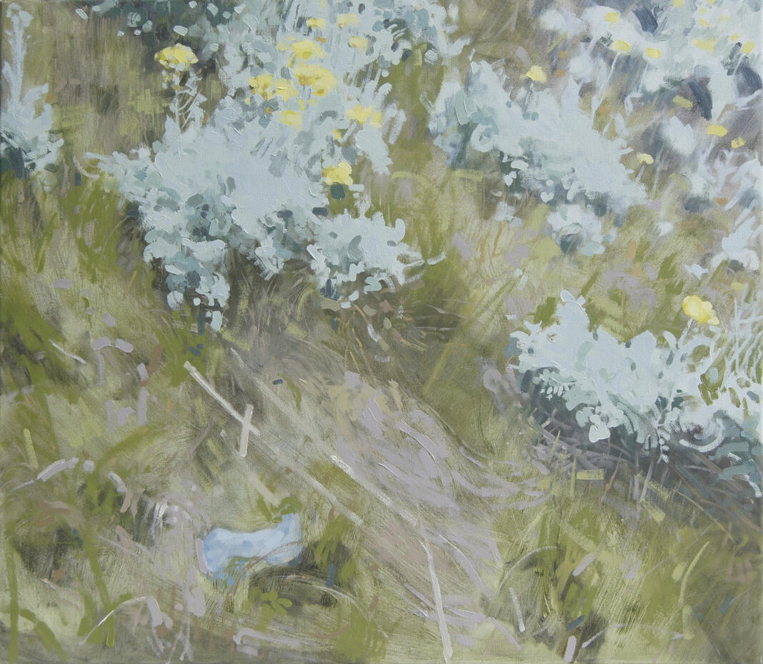 LAND MEMORY: SILVER RAGWORT - oil on canvas, 70 x 80 cm